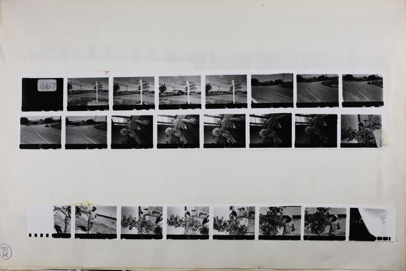 Nelson Evening Mail proof sheet: untitled
