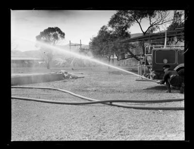 Nelson Fire Brigade - Nelson Provincial Museum