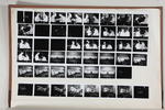 Nelson Evening Mail proof sheet: untitled image item