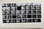 Nelson Evening Mail proof sheet: untitled image item