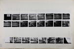 Nelson Evening Mail proof sheet: untitled image item
