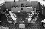 Centenary Nelson City Council image item