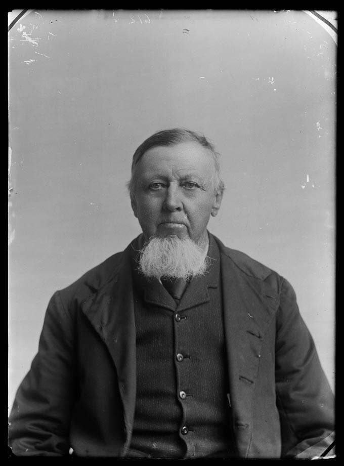 Old Settler, unnamed Nelson Provincial Museum