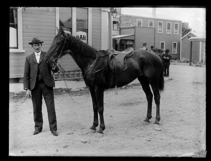 Harvey horse, Collingwood Nelson Provincial Museum