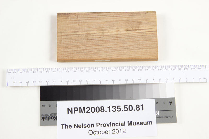 Timber sample, Kauri Nelson Provincial Museum