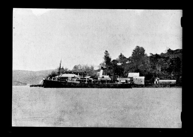 Salisbury, newspaper clipping - Nelson Provincial Museum