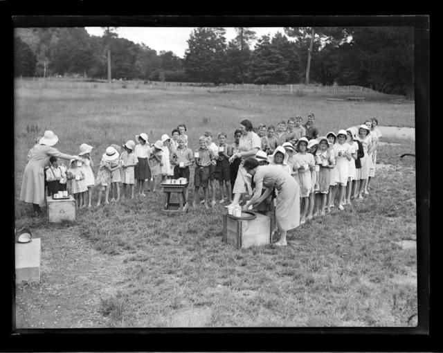 Wakefield School, children's camp Nelson Provincial Museum
